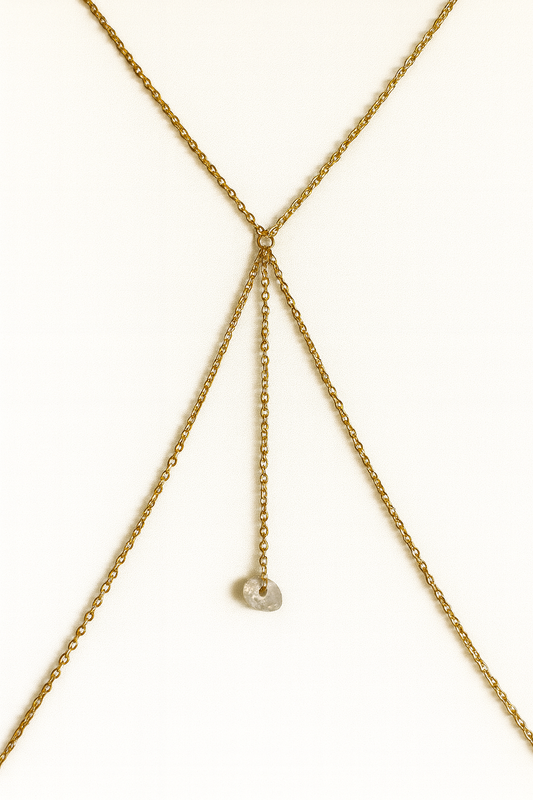 Cadena de cuerpo Anae