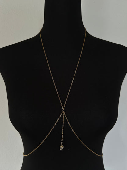 Cadena de cuerpo Anae